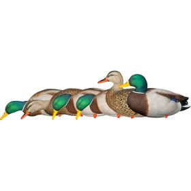 Avian X AXP Fusion Duck Decoys