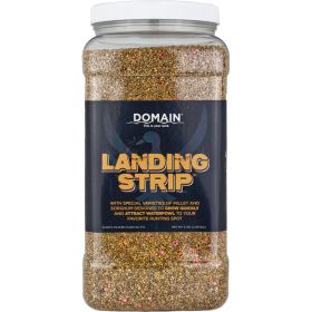 Domain Landing Strip Seed