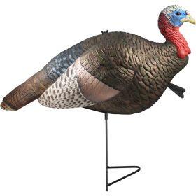The Grind 1/2 Strut Jake Turkey Decoy