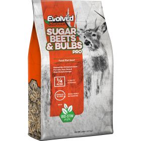 Evolved Sugar Beets & Bulb Seed