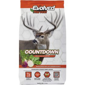 Evolved Countdown Seed