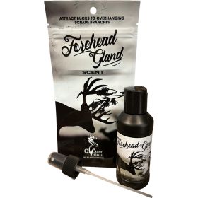 Conquest Forehead Gland Scent