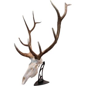 Skull Hooker Big Table Hooker