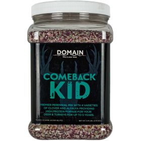 Domain Comeback Kid Seed