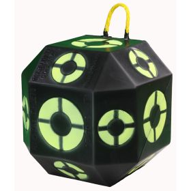 Rinehart 18-1 Target