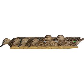 Avian X Top Flight Duck Decoys (Option: Early Season Teal 6 pk.)