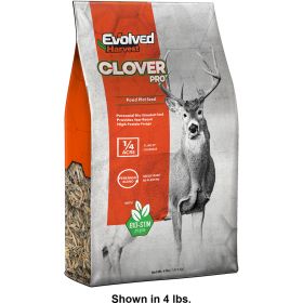 Evolved Clover Seed (Option: 2 lb.)