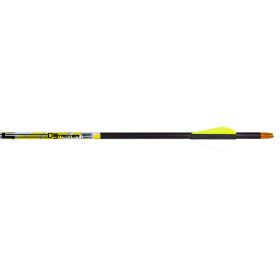 Carbon Express D-Stroyer Arrows (Option: 500 2 in. Vanes 36 pk.)