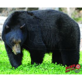 DuraMesh Archery Target (Option: Black Bear 25 in. x 32 in.)